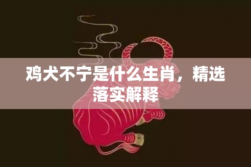 鸡犬不宁是什么生肖，精选落实解释