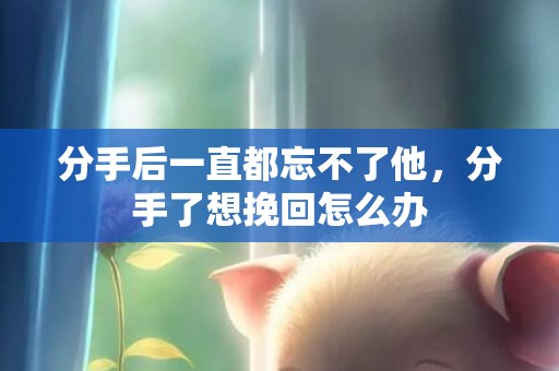 分手后一直都忘不了他，分手了想挽回怎么办
