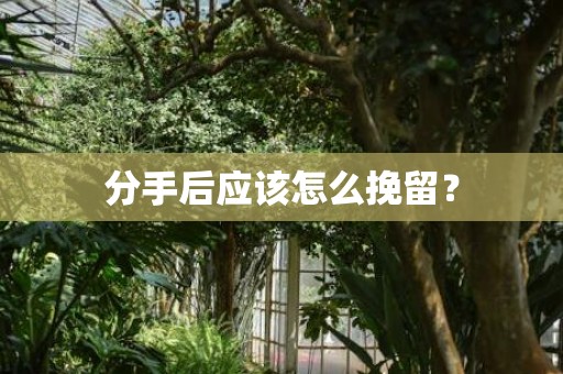 分手后应该怎么挽留？