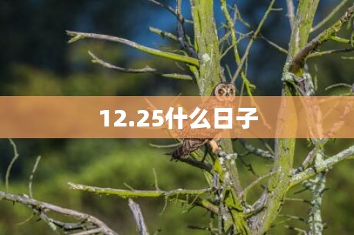 12.25什么日子