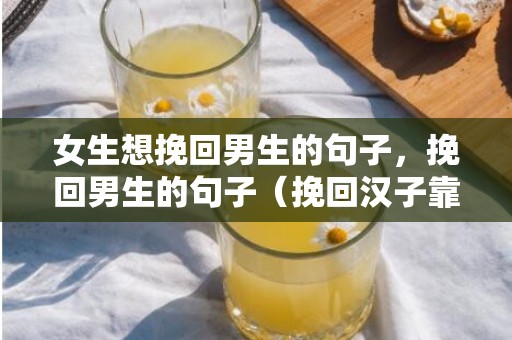 女生想挽回男生的句子，挽回男生的句子（挽回汉子靠的不是断联）