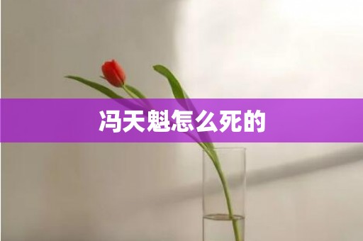 冯天魁怎么死的