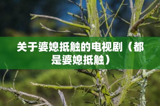关于婆媳抵触的电视剧（都是婆媳抵触）
