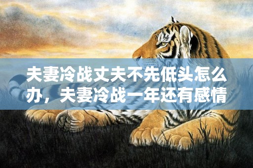 夫妻冷战丈夫不先低头怎么办，夫妻冷战一年还有感情吗？夫妻冷战多久可以考虑离婚