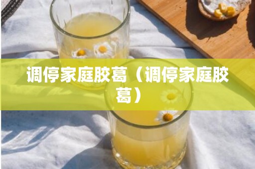 调停家庭胶葛（调停家庭胶葛）