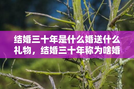 结婚三十年是什么婚送什么礼物，结婚三十年称为啥婚姻