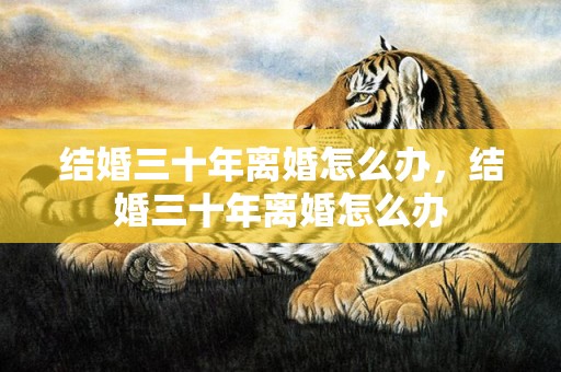 结婚三十年离婚怎么办，结婚三十年离婚怎么办