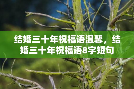 结婚三十年祝福语温馨，结婚三十年祝福语8字短句
