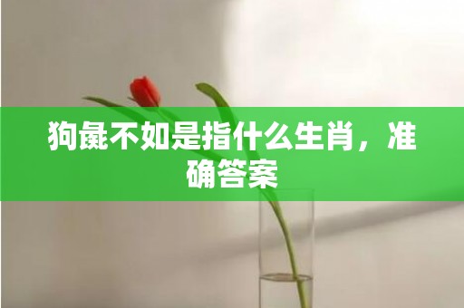 狗彘不如是指什么生肖，准确答案