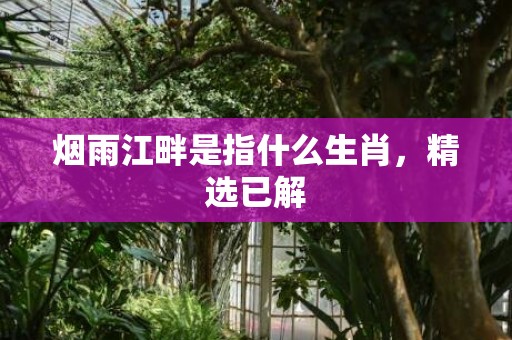 烟雨江畔是指什么生肖，精选已解