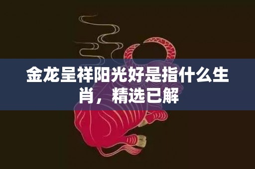 金龙呈祥阳光好是指什么生肖，精选已解
