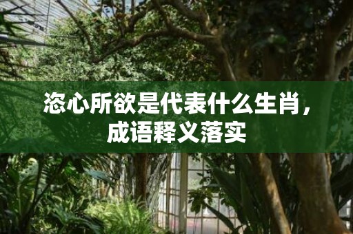 恣心所欲是代表什么生肖，成语释义落实