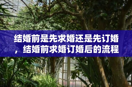结婚前是先求婚还是先订婚，结婚前求婚订婚后的流程