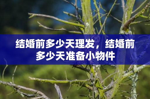 结婚前多少天理发，结婚前多少天准备小物件