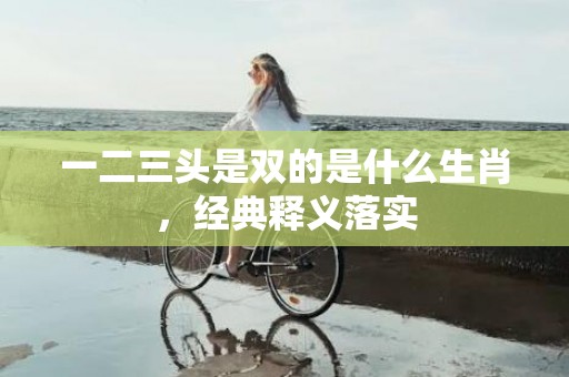 一二三头是双的是什么生肖，经典释义落实