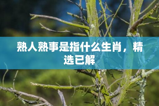 熟人熟事是指什么生肖，精选已解