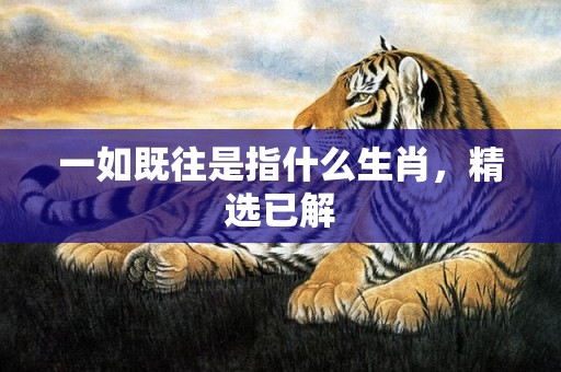 一如既往是指什么生肖，精选已解