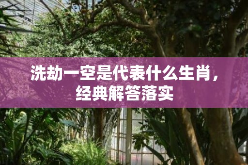 洗劫一空是代表什么生肖，经典解答落实