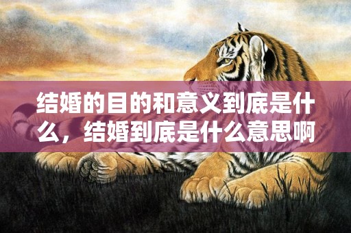 结婚的目的和意义到底是什么，结婚到底是什么意思啊