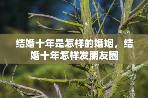 结婚十年是怎样的婚姻，结婚十年怎样发朋友圈