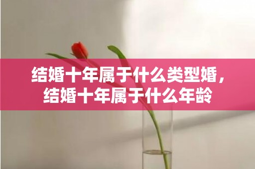 结婚十年属于什么类型婚，结婚十年属于什么年龄