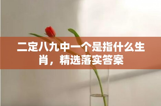 二定八九中一个是指什么生肖，精选落实答案