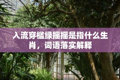 入流穿槛绿摇摇是指什么生肖，词语落实解释