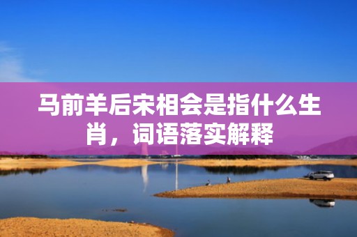 马前羊后宋相会是指什么生肖，词语落实解释