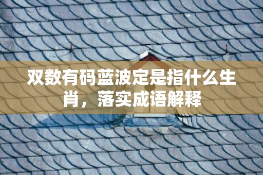 双数有码蓝波定是指什么生肖，落实成语解释