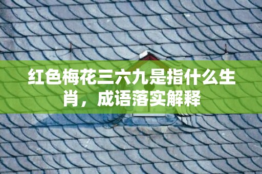 红色梅花三六九是指什么生肖，成语落实解释
