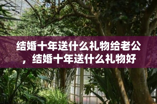 结婚十年送什么礼物给老公，结婚十年送什么礼物好