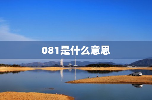 081是什么意思