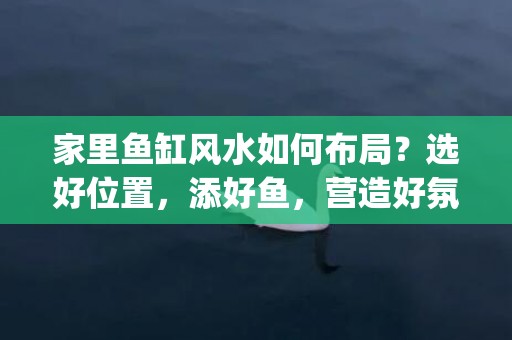 家里鱼缸风水如何布局？选好位置，添好鱼，营造好氛围(家里鱼缸养鱼养几条好)