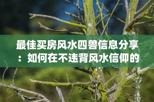 最佳买房风水四兽信息分享：如何在不违背风水信仰的前提下找到理想的住所(买房四楼怎么样 风水)