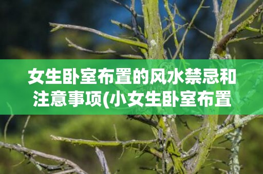 女生卧室布置的风水禁忌和注意事项(小女生卧室布置图片)