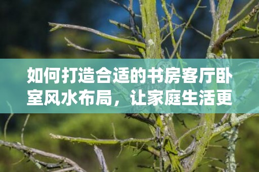 如何打造合适的书房客厅卧室风水布局，让家庭生活更美好(如何打造小红书)