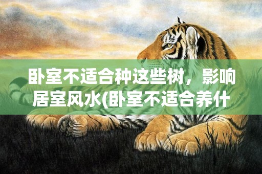 卧室不适合种这些树，影响居室风水(卧室不适合养什么花)