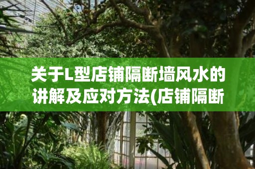 关于L型店铺隔断墙风水的讲解及应对方法(店铺隔断最简单的方法)