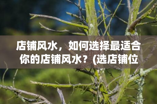 店铺风水，如何选择最适合你的店铺风水？(选店铺位置风水)