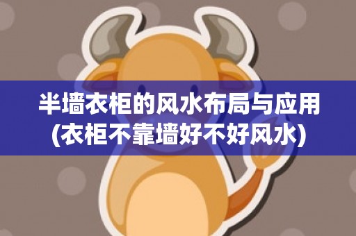 半墙衣柜的风水布局与应用(衣柜不靠墙好不好风水)