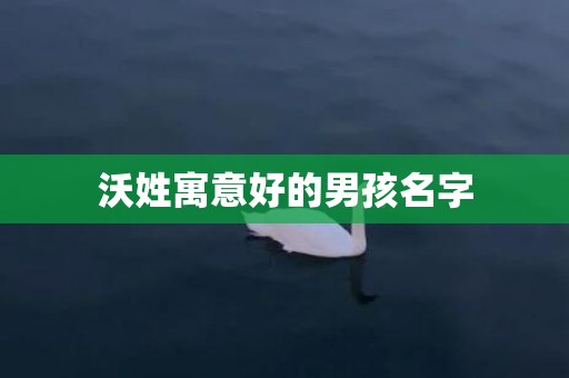沃姓寓意好的男孩名字