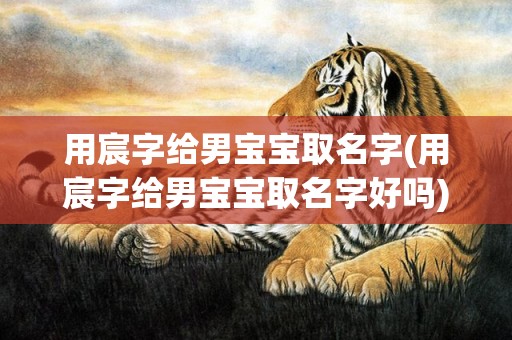 用宸字给男宝宝取名字(用宸字给男宝宝取名字好吗)