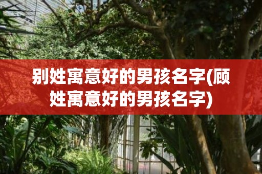 别姓寓意好的男孩名字(顾姓寓意好的男孩名字)