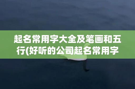 起名常用字大全及笔画和五行(好听的公司起名常用字大全 第9页)