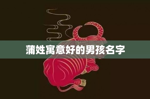 蒲姓寓意好的男孩名字