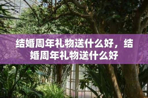 结婚周年礼物送什么好，结婚周年礼物送什么好