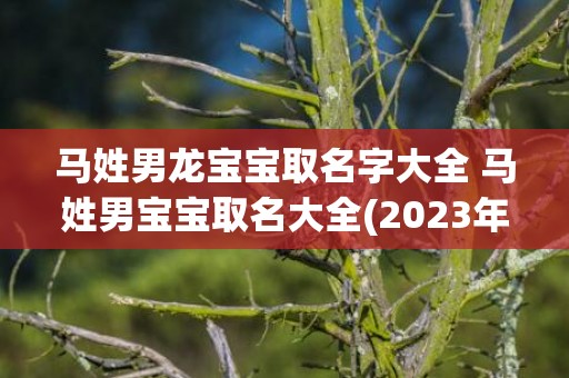 马姓男龙宝宝取名字大全 马姓男宝宝取名大全(2023年马姓男宝宝取名)