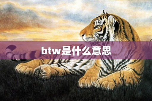 btw是什么意思