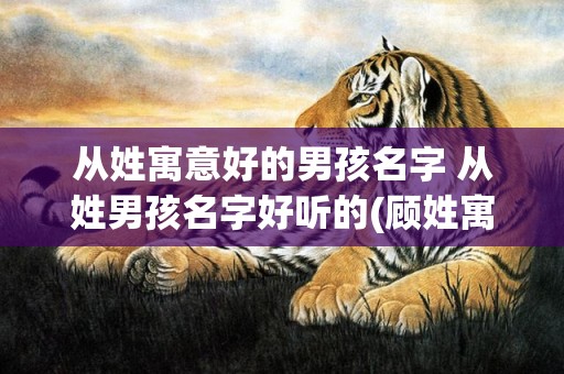 从姓寓意好的男孩名字 从姓男孩名字好听的(顾姓寓意好的男孩名字)