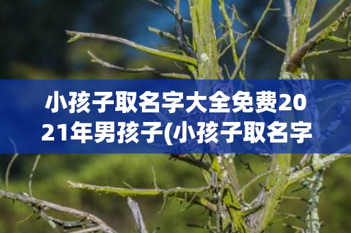 小孩子取名字大全免费2021年男孩子(小孩子取名字大全免费2021年男孩子)